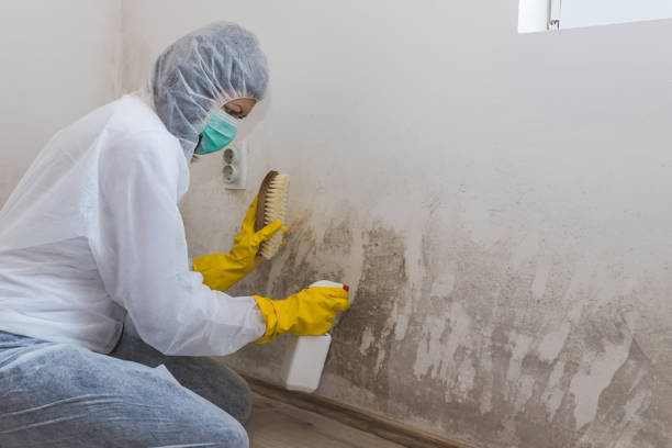 Best Mold Testing  in Madera, CA