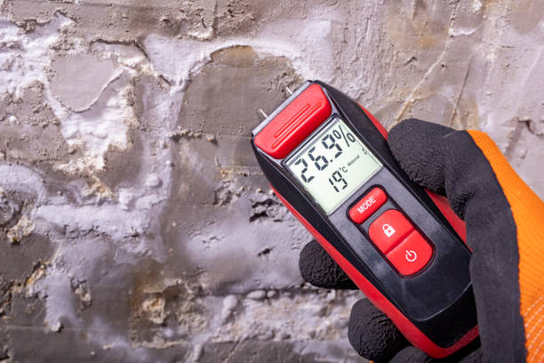 Best Fast Mold Removal  in Madera, CA