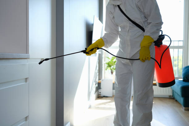 Best Professional Mold Removal  in Madera, CA