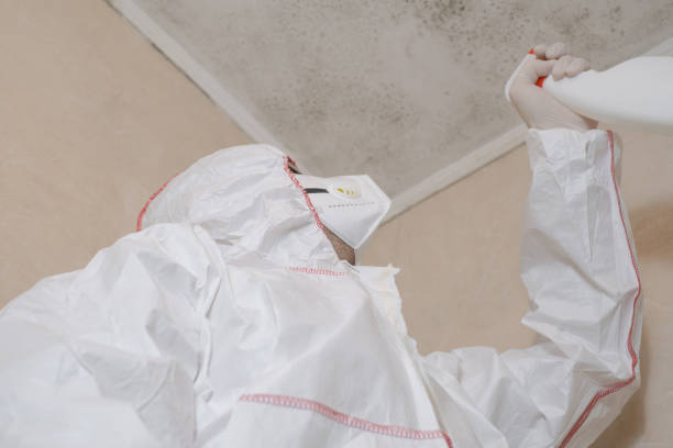 Best Toxic Mold Removal  in Madera, CA